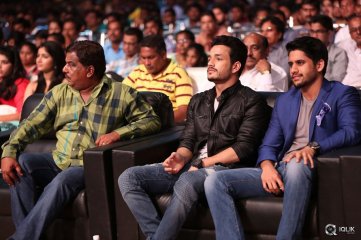 Akhil Movie Audio Launch